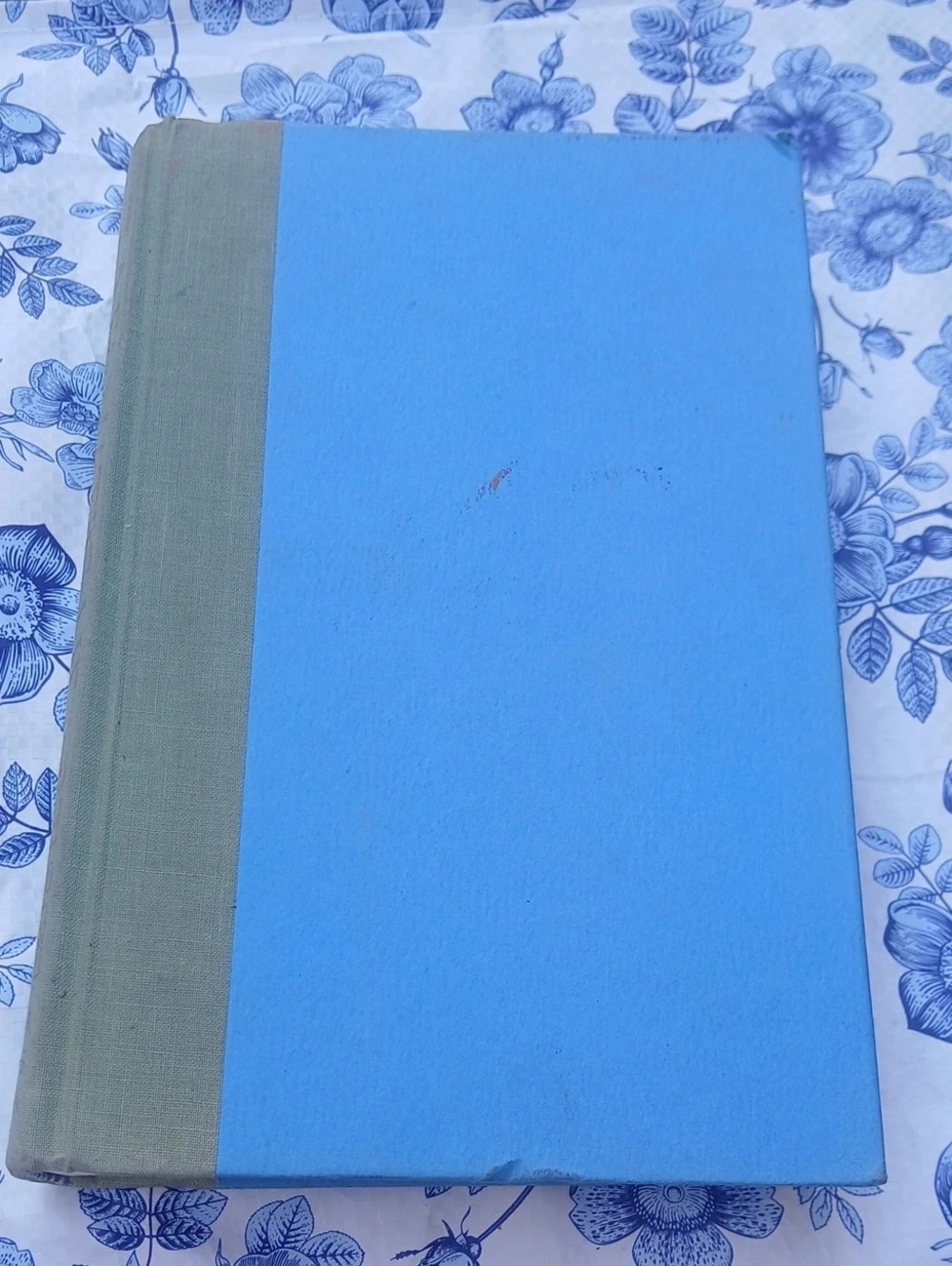 Farrar, Straus and Giroux A Fanatic Heart: Selected Stories of Edna O'Brien Blue